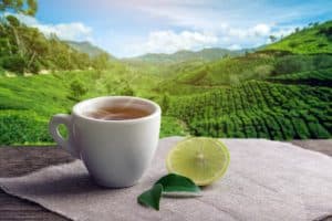 green-tea-irina-atanasova