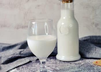 домашно-кокосово-мляко-ирина-атанасова