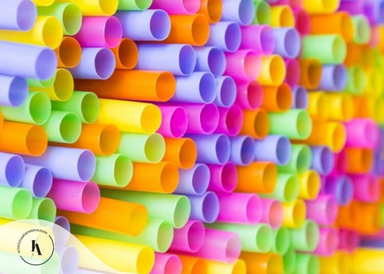 пластмасовите-продукти-хранителната-индустрия-връзката-опасности-ирина-атанасова