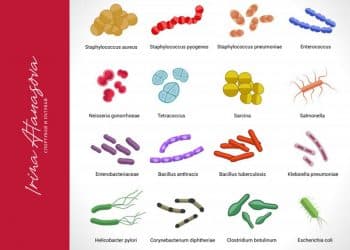 бактерията-ботулизъм-ирина-атанасова