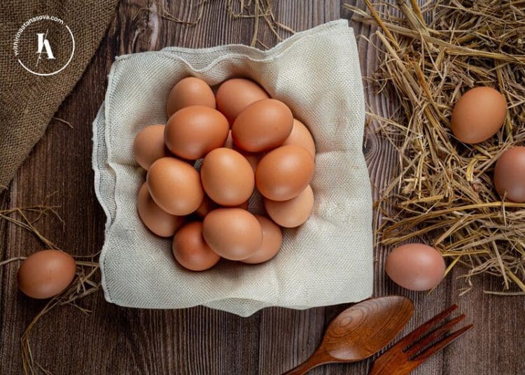 яйцата-салмонелата-бактерия-ирина-атанасова